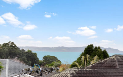 Cockle Bay, 41a Pah Road